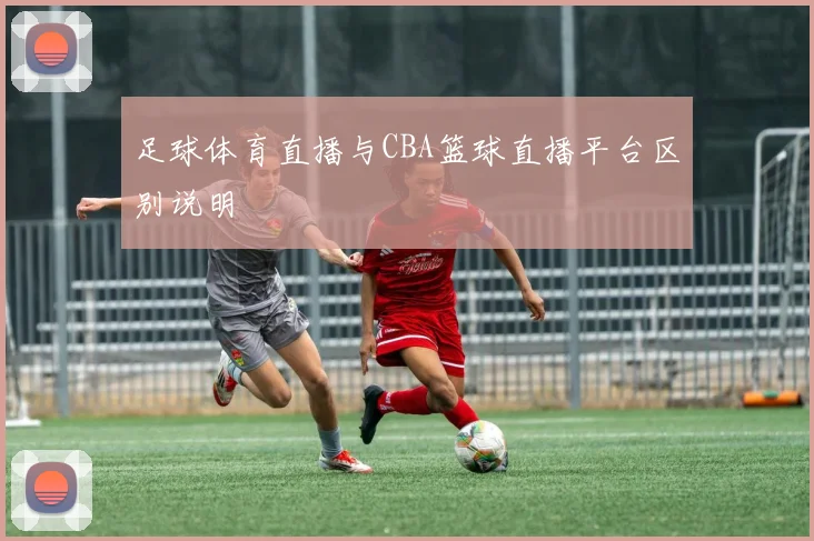 足球体育直播与CBA篮球直播平台区别说明