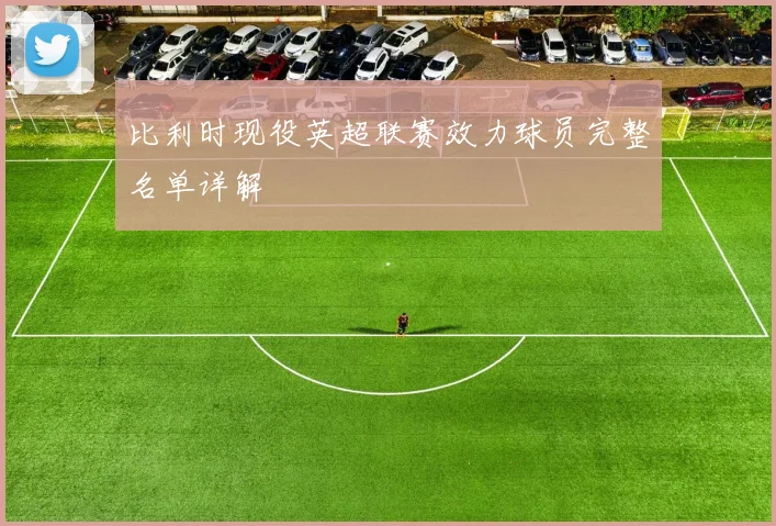 比利时现役英超联赛效力球员完整名单详解