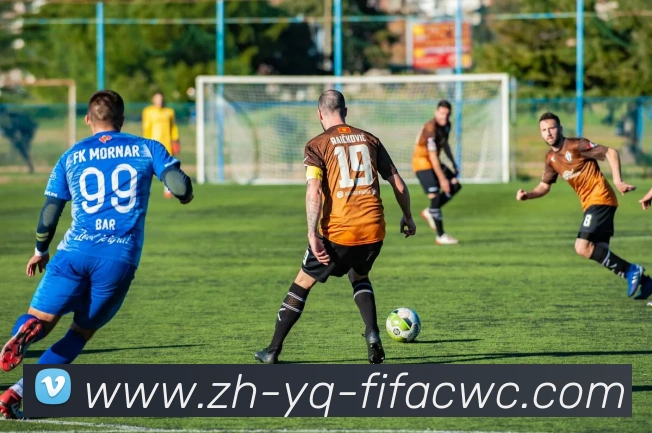 世界杯在线观看品牌故事